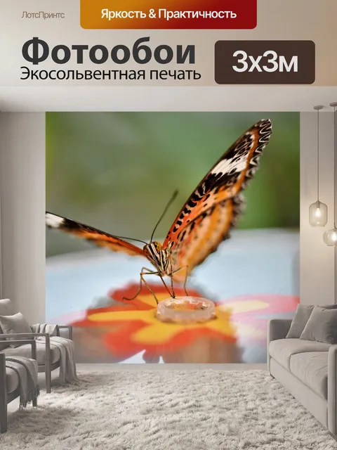 Фотообои Бабочка