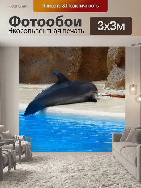 Фотообои Бутылконосый дельфин