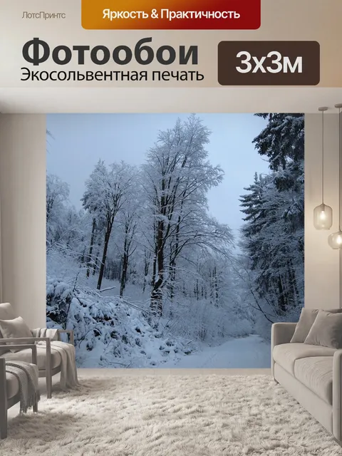 Фотообои Лес