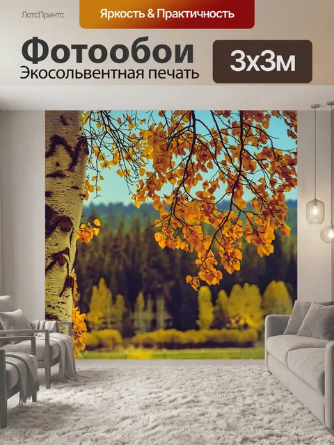 Фотообои Береза