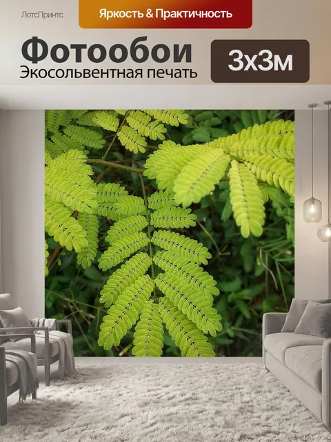 Фотообои Листья
