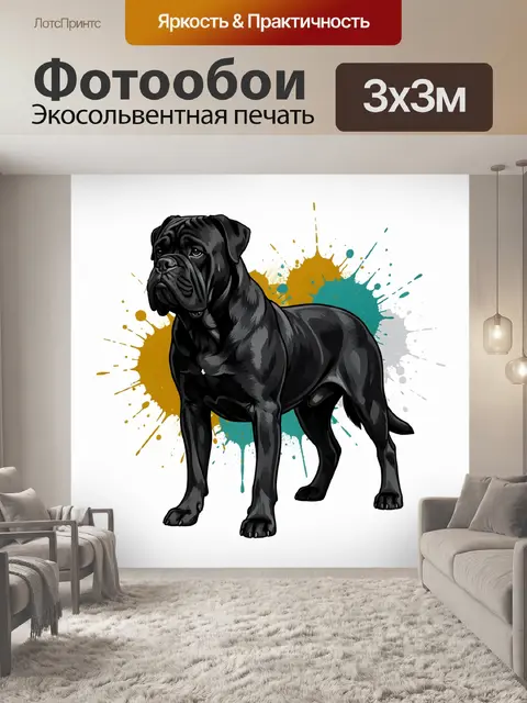 Фотообои Черный кане-корсо с брызгами