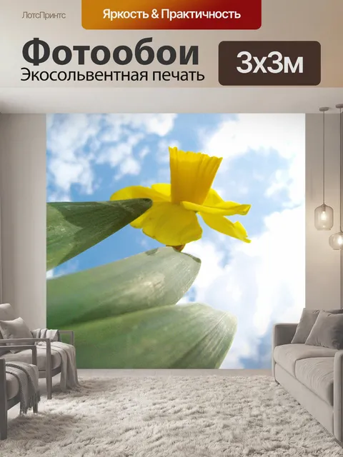 Фотообои Бледно небо