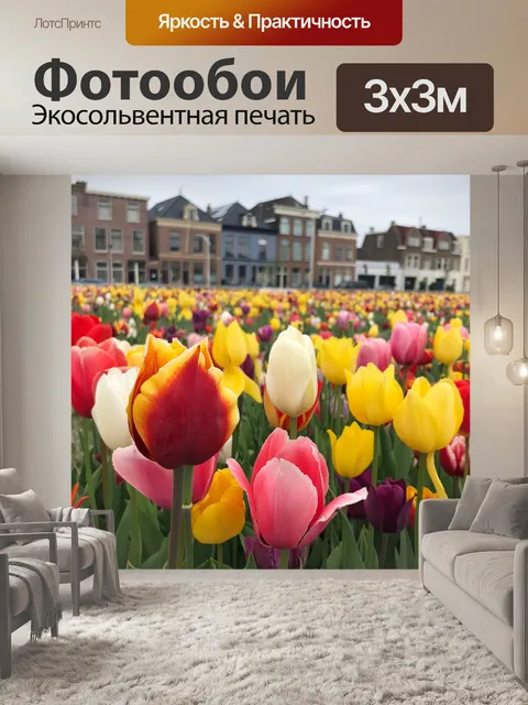 Фотообои Тюльпаны