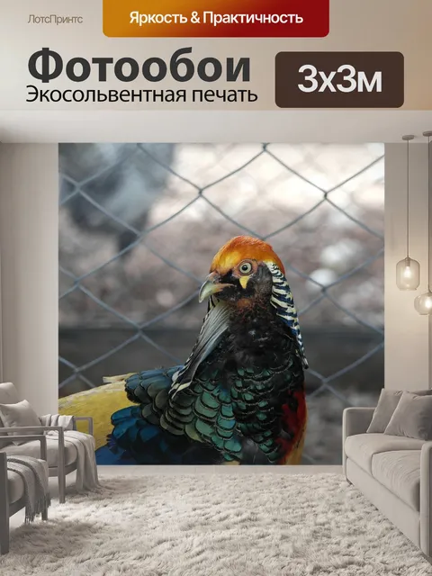 Фотообои Птицы