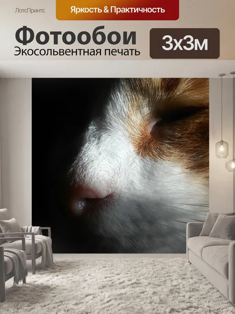 Фотообои Морда кошки