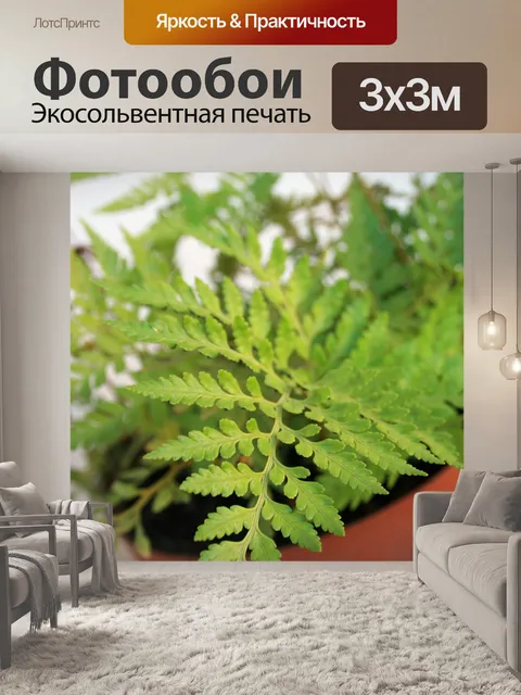 Фотообои листья папоротника рядом