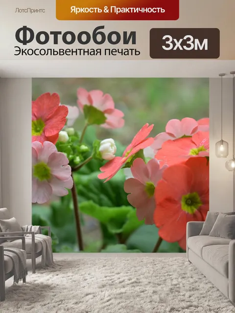 Фотообои Цветы