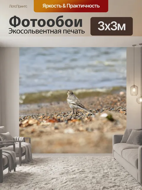 Фотообои Животное