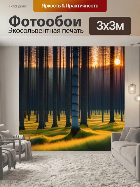 Фотообои лес из лиственниц при закате