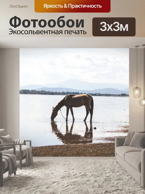 Фотообои Лошадь