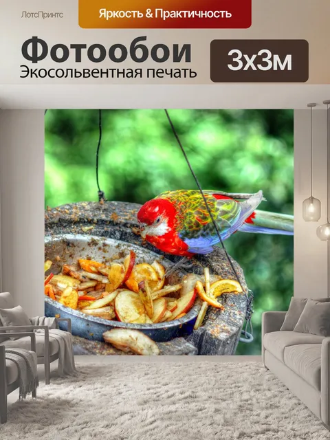 Фотообои Птица