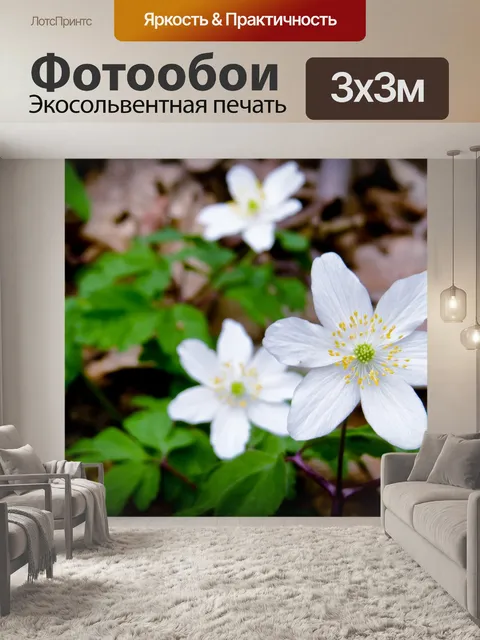 Фотообои Цветок
