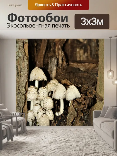 Фотообои Белые грибы, растущие на дереве