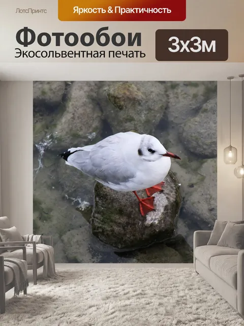 Фотообои Птица