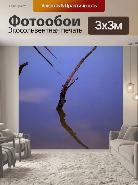 Фотообои Закат в Камарге