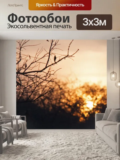 Фотообои веточки с фоном рассвета