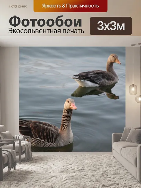 Фотообои Гусь