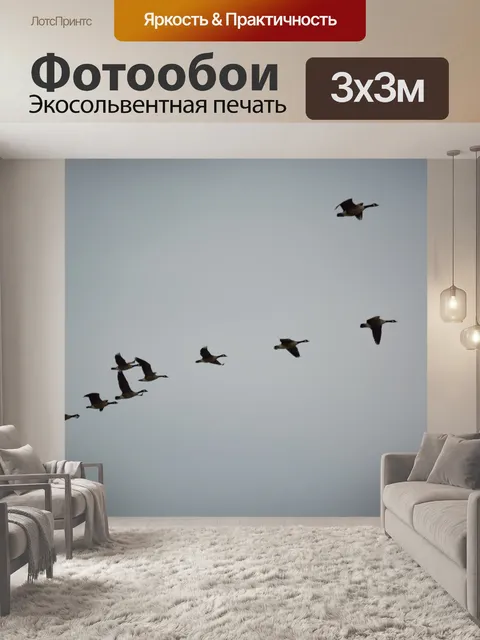 Фотообои Гуси в полете