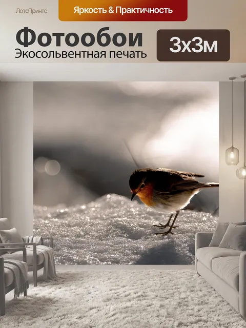 Фотообои Птица