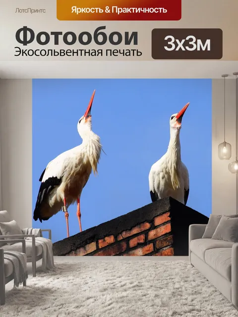 Фотообои Птицы
