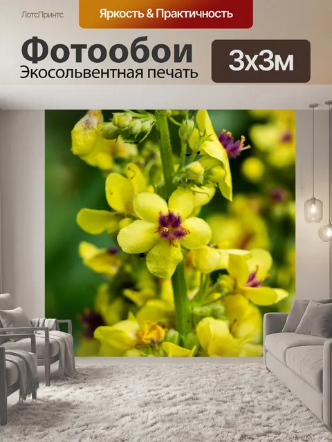 Фотообои Цветы