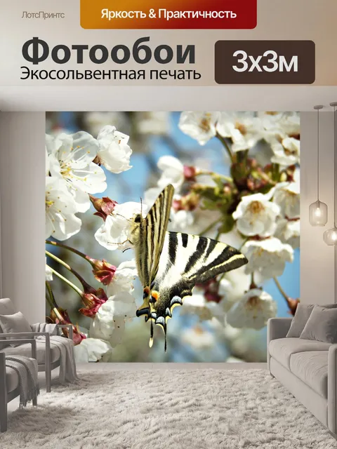 Фотообои Бабочка монарх