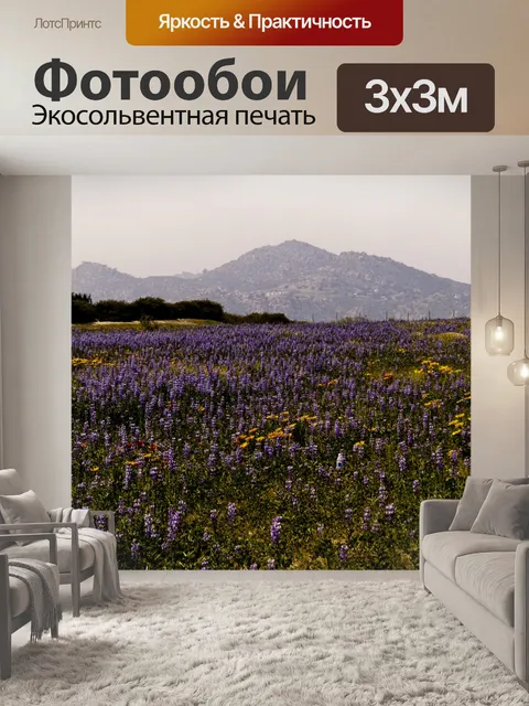 Фотообои Поле сиреневых цветов