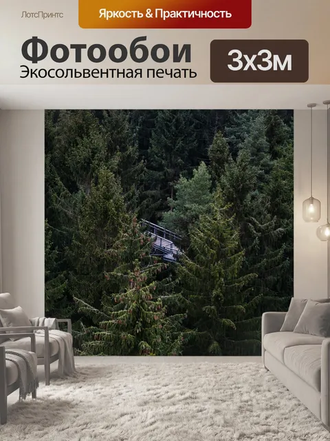 Фотообои Лес