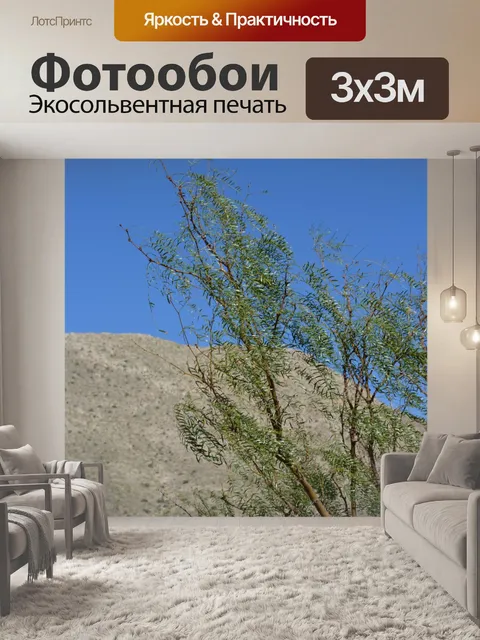 Фотообои At The Top Деревья Поезд горы