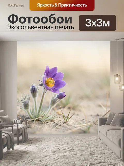 Фотообои Фиолетовый полевой цветок в песке