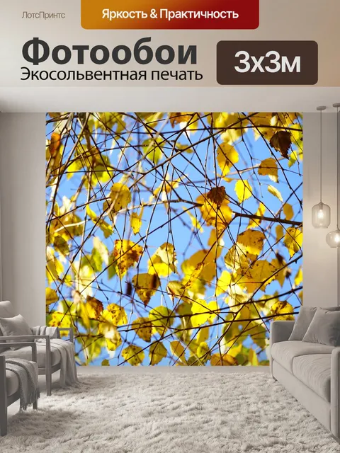 Фотообои Береза