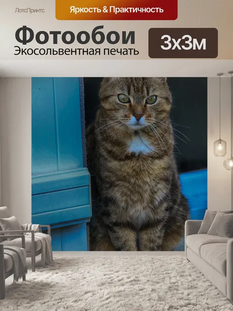 Фотообои Животные