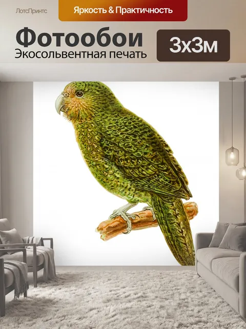 Фотообои Клипарт винтажный попугай
