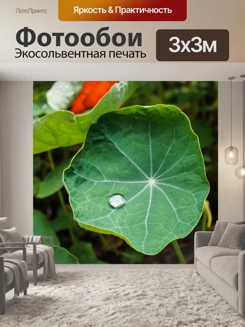Фотообои Природа