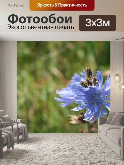 Фотообои Цветы