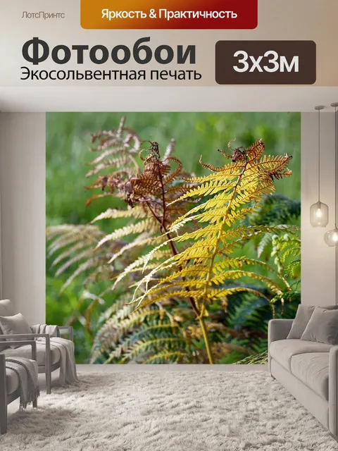 Фотообои Листья папоротника