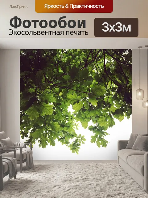 Фотообои Дуб