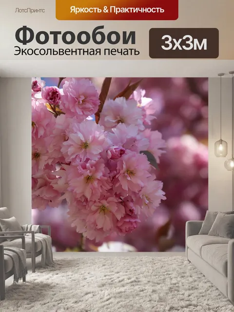 Фотообои Сакура