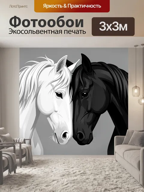 Фотообои Два контрастных коня