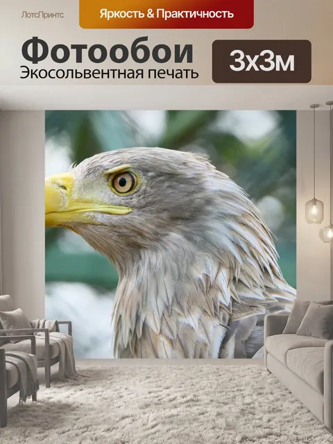 Фотообои Птица