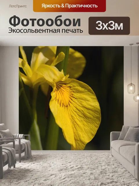 Фотообои Желтый цветок ирис