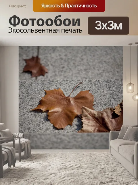 Фотообои Осень
