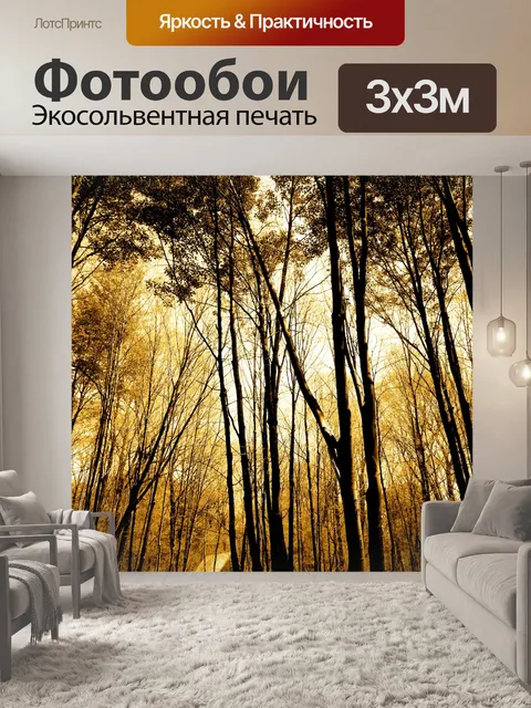 Фотообои Деревья сверху на закате