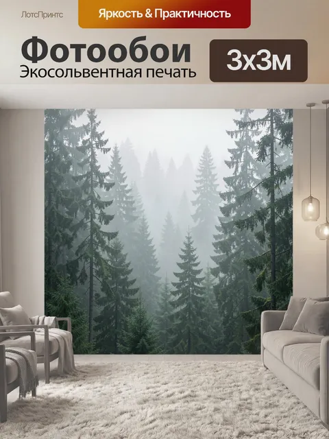 Фотообои Туманный хвойный лес
