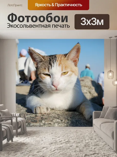 Фотообои Кошка