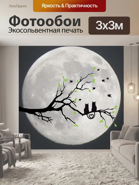 Фотообои Кошки