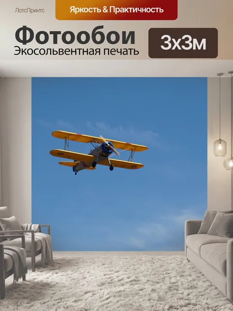 Фотообои Военная птица