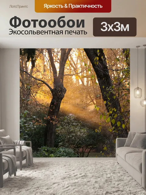 Фотообои Лес