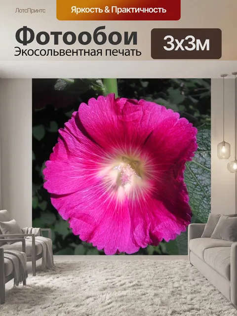 Фотообои Цветы